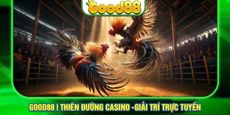 Đá Gà Cựa Dao Nhà Cái Uy Tín Good88