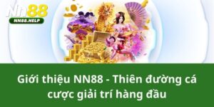 Giới Thiệu NN88 – Nhà Cái Đỉnh Cao Của Giải Trí